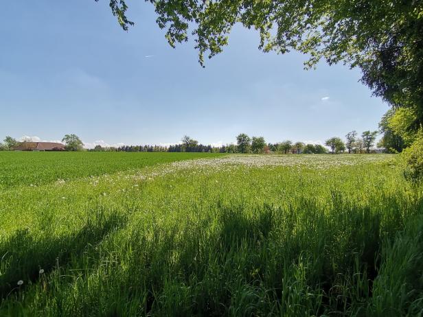 Schleissheim