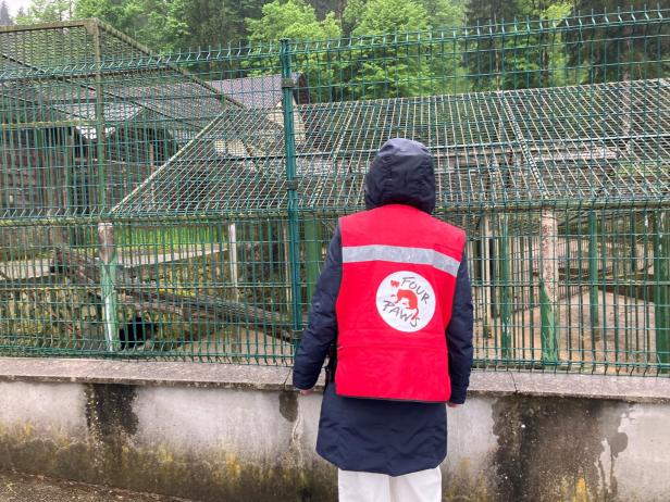 Vier Pfoten-Mitarbeiterin vor dem Käfig von Felix