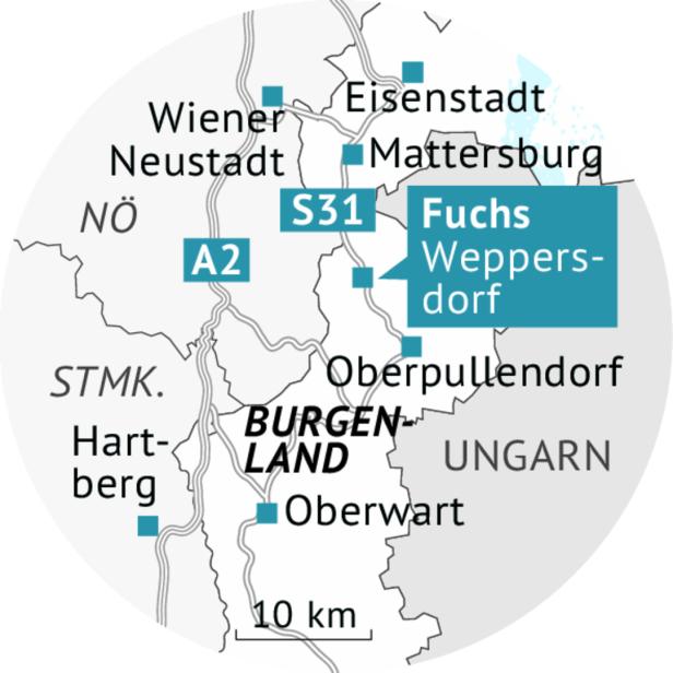 46-215045420