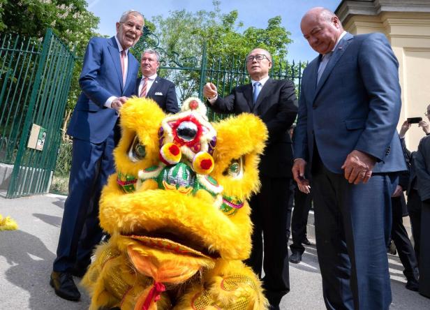 AUSTRIA-CHINA-ZOO-DIPLOMACY-ANIMAL-PANDA