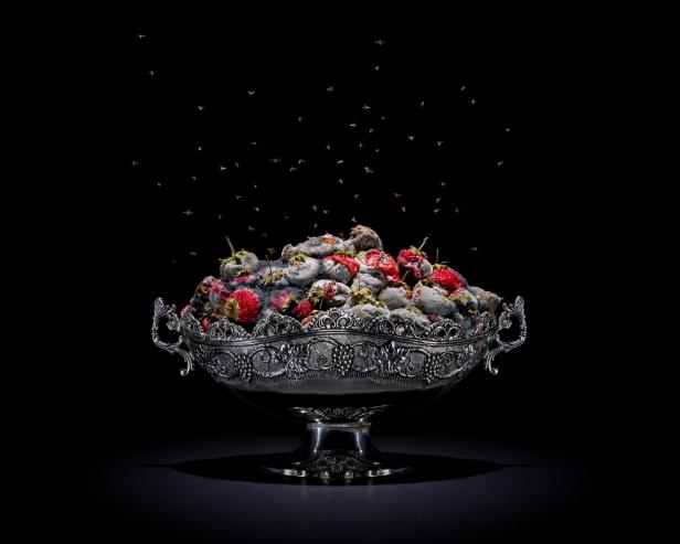 Eine silberne Schale gefüllt mit schimmeligen Erdbeeren, über denen viele Fruchtfliegen schwirren.