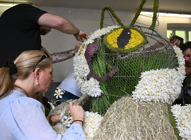63. NARZISSENFEST IM AUSSEERLAND / FIGUREN STECKEN