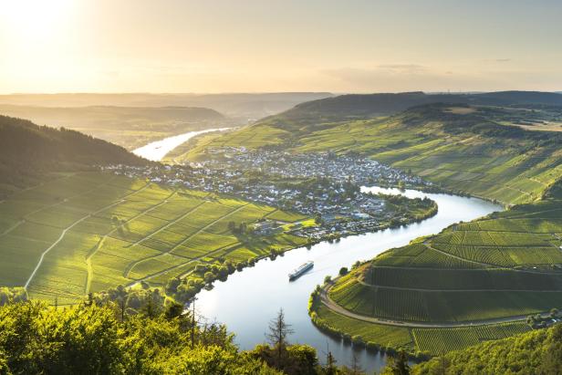 Blick auf die Mosel mit den Weinbergen drumherum und einer untergehenden Sonne.