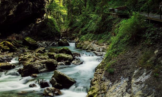Ein Fluss fließt durch eine grüne Schlucht in Vorarlberg.