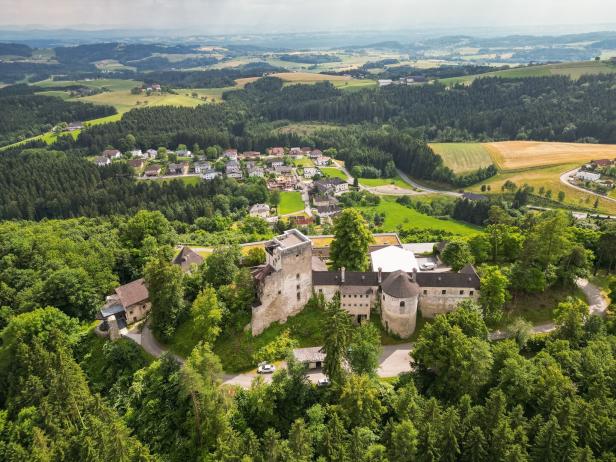 Luftaufnahme einer Burg, umgeben von dichten Wäldern und Feldern.