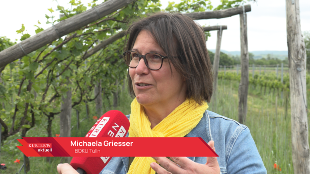 Eine Frau mit einem gelben Schal schaut in die Kamera, darunter ein roter Banner mit ihrem Namen