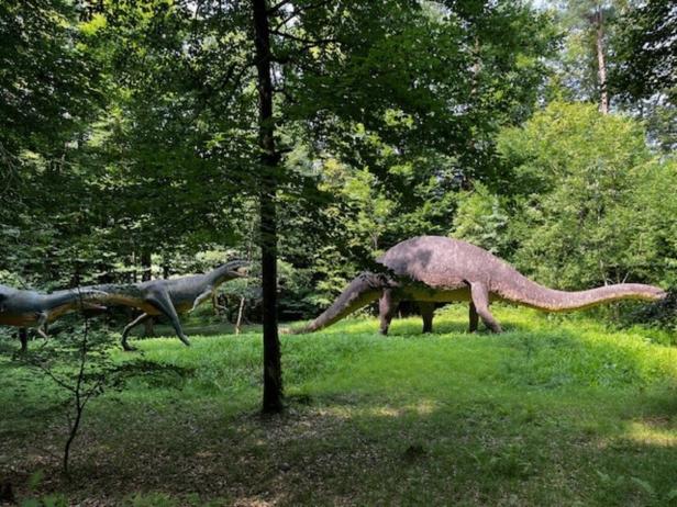 Dinosaurier-Modelle sind in einem Wald ausgestellt.