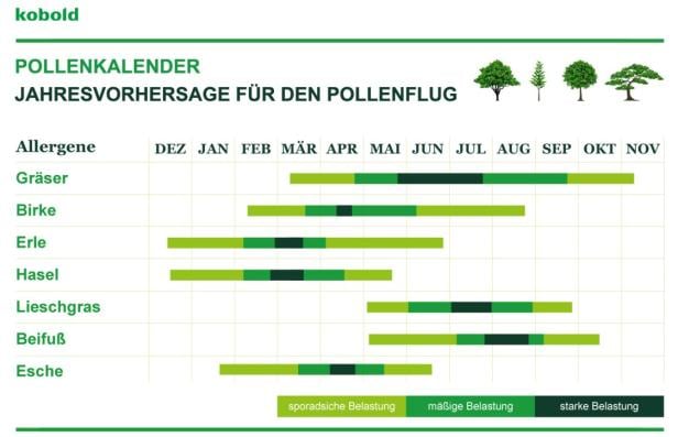 Pollenkalender mit der Jahresvorhersage für den Pollenflug