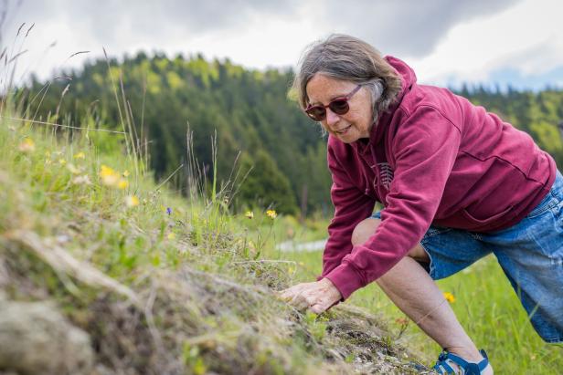 Renée Schroeder geht auf einer steilen Wiese in die Knie, um Kräuter zu pflücken.