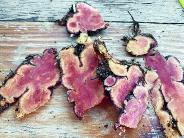 Die Wurzel einer Blutwurz liegt auseinandergeschnitten auf einer Holzfläche. Sie leuchtet rot