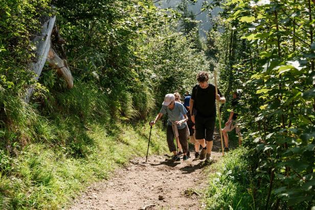 Eine Gruppe von Wanderern geht einen Pfad im Wald entlang.