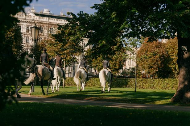 Reiter auf weißen Pferden reiten durch einen Park.
