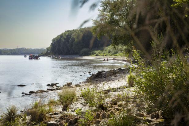 Die Donau formt sich zur Bucht, ein langer Sandstrand, Boote ankern davor, Menschen gehen baden. Dahinter: eine Wand aus Pflanzen.