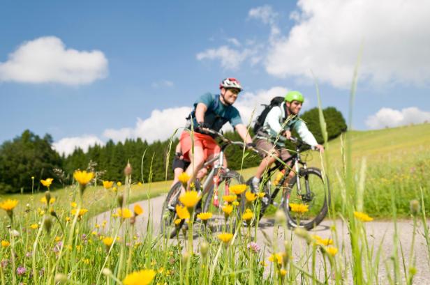 Zwei Mountainbiker, fotografiert durch Blumen. 