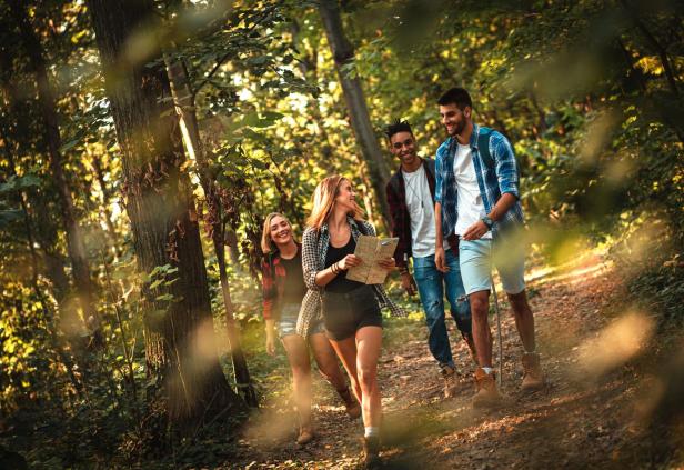 Eine Gruppe junger Erwachsener wandert durch einen Wald. 