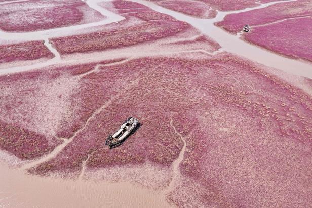 Rosige Aussichten TOPSHOT-CHINA-ENVIRONMENT