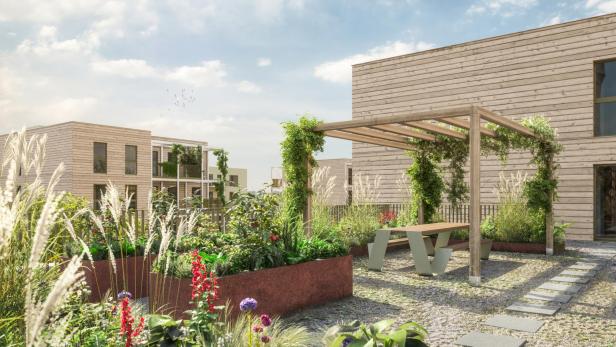 Auf dem Bild ist eine begrünte Dachterrasse eines Wiener Wohnhauses abgebildet.