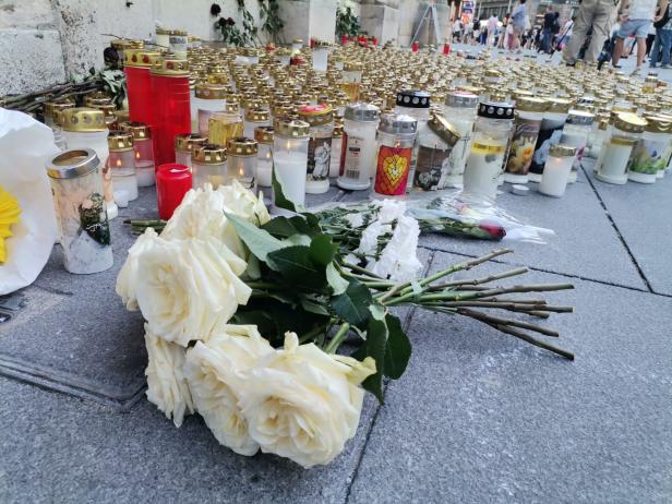 Rose vor dem Stephansdom