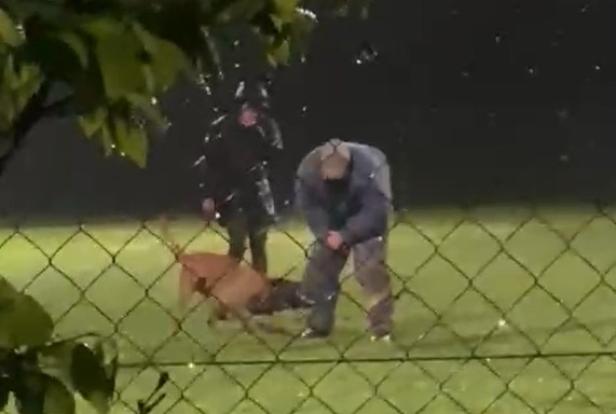 Eine verschwommene Aufnahme von einem Hunde der in das geschützte Bein seines Trainers beißt.