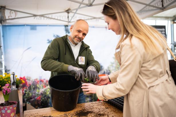 Ein Mann und eine Frau pflanzen Blumen auf einem Markt in Hirschstätten.