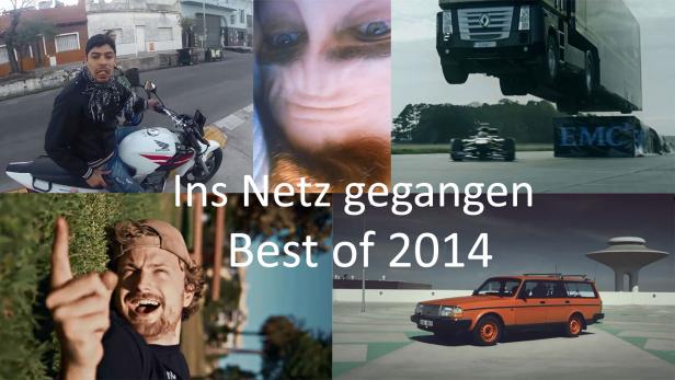 Best of "Ins Netz gegangen" 2014