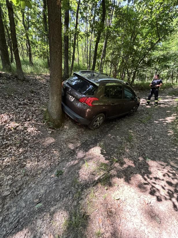 FF Retz im Wald