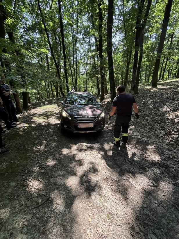 FF Retz im Wald