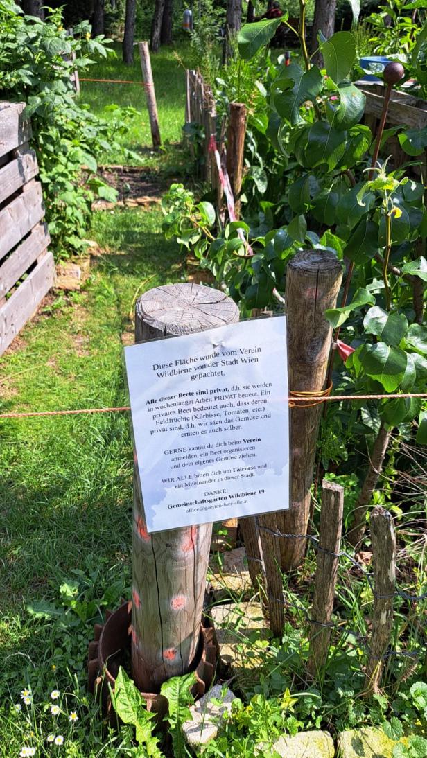 Schild im Gemeinschaftsgarten
