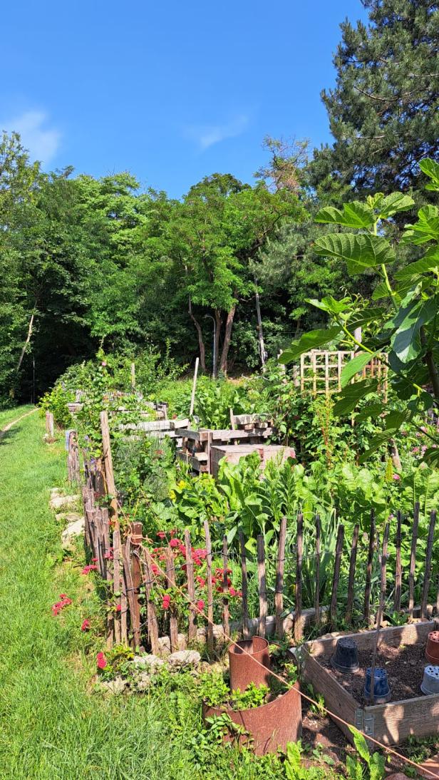 Gemeinschaftsgarten mit Beeten