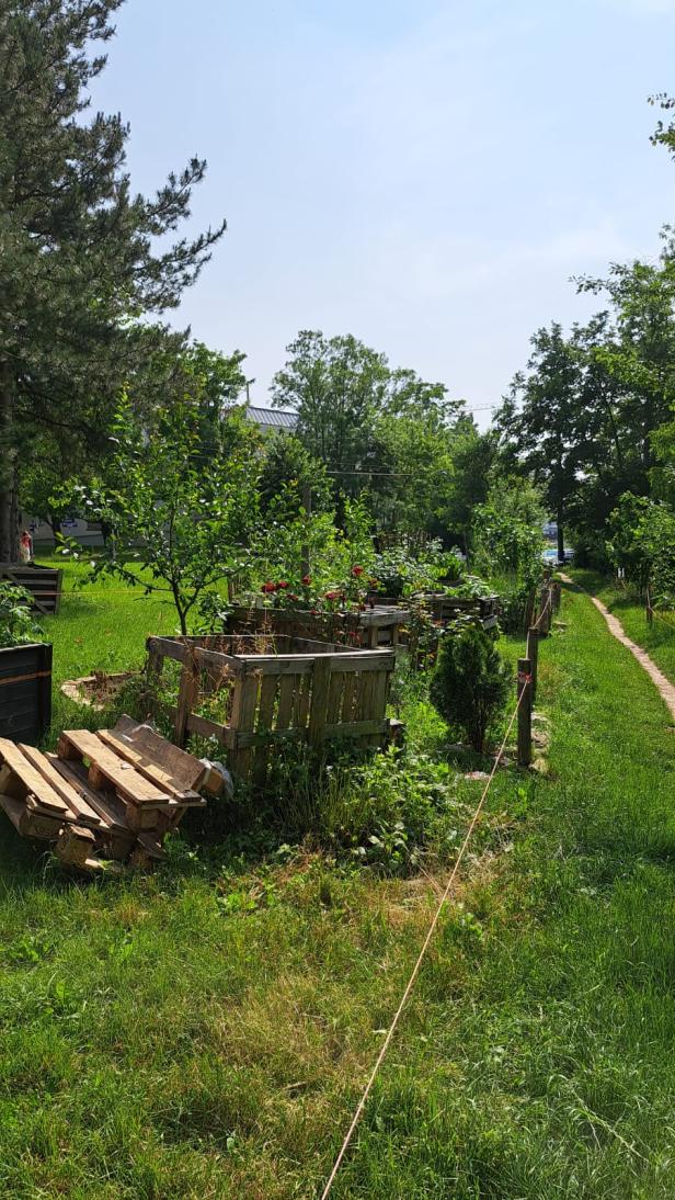 Beete im Gemeinschaftsgarten