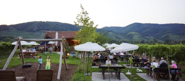 Heurigenguide: Wo Wein und Bratl am besten schmecken