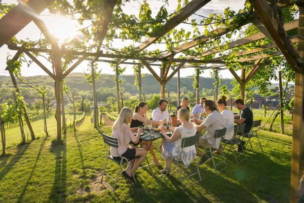 Menschen sitzen an einem Tisch in einem Weinberg und genießen die Aussicht und das Zusammensein.