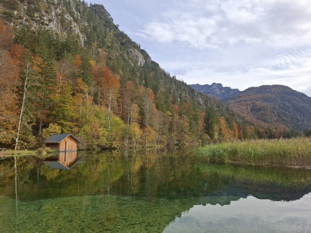 studiogespräch schallauer studiogespräch schallauer