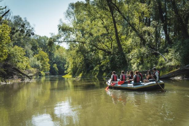 Eine Gruppe von Personen unternimmt eine Rafting-Tour auf einem Fluss durch eine grüne Waldlandschaft.