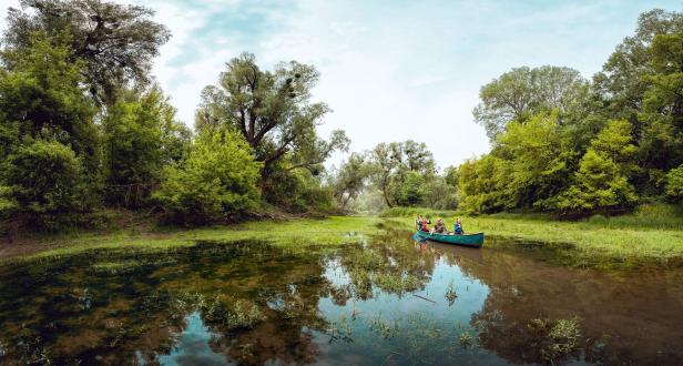 Eine Gruppe von Menschen paddelt in einem Kanu durch einen von Bäumen gesäumten Fluss.