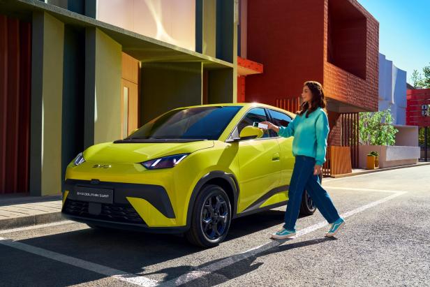 Der Dolphin Surf von BYD.