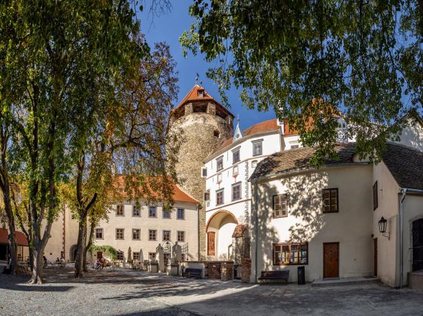 Der Innenhof der Burg Hardegg mit einem steinernen Turm und weißen Gebäuden.