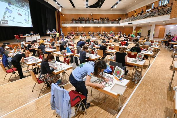 Deutsche Puzzlemeisterschaft Leonberg, Februar 2025