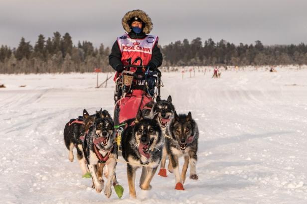 Petra auf ihrem Huskyschlitten bei einem Rennen