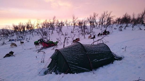 Bei Langdistanzrennen sind Petra und ihr Hundeteam oft mehrere Tage unterwegs. Immer mit dabei: ein Zelt für die Nacht.