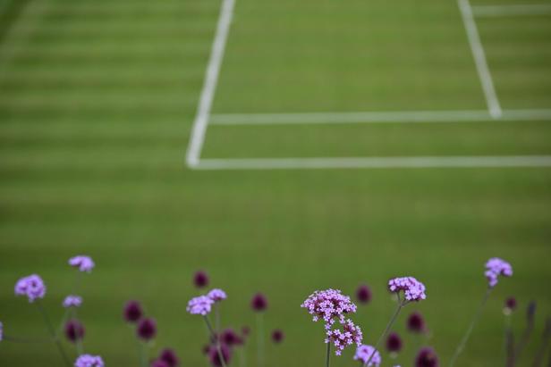 Es grünt so grün... TENNIS-GBR-WIMBLEDON-FLOWERS