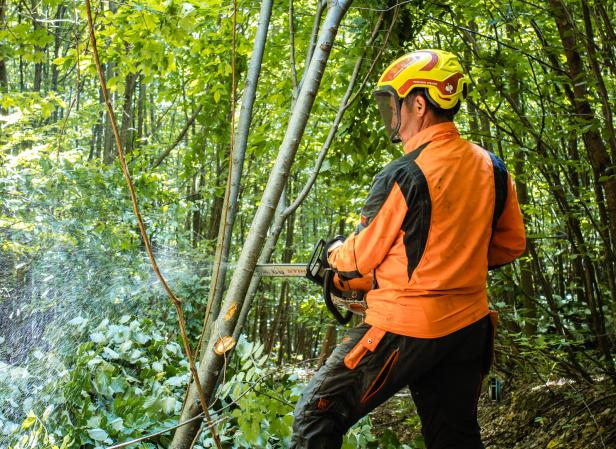 Forstarbeiter in rumänischem Wald