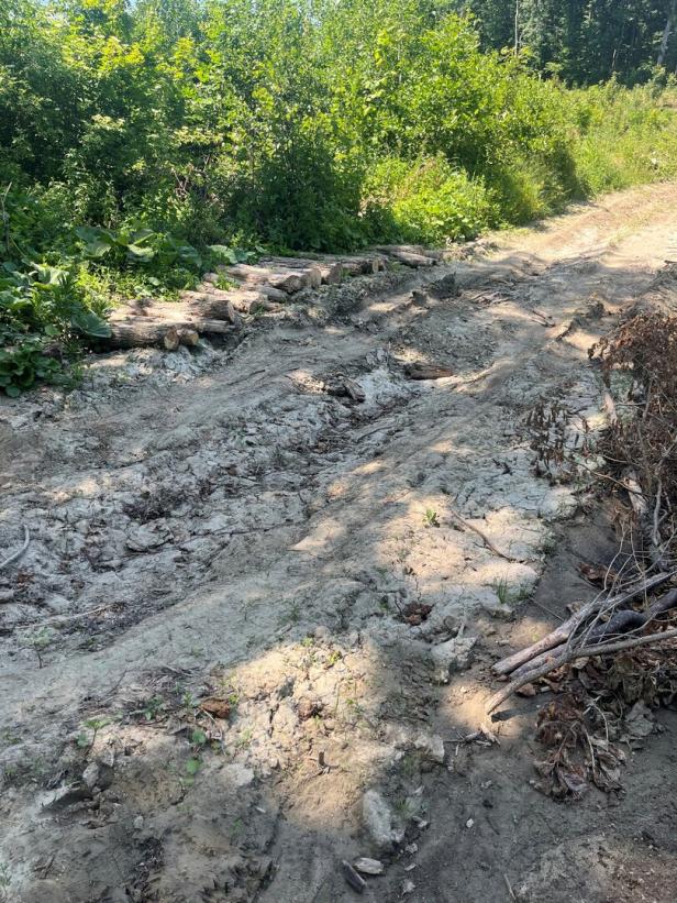 Skidder Straße in rumänischem Wald