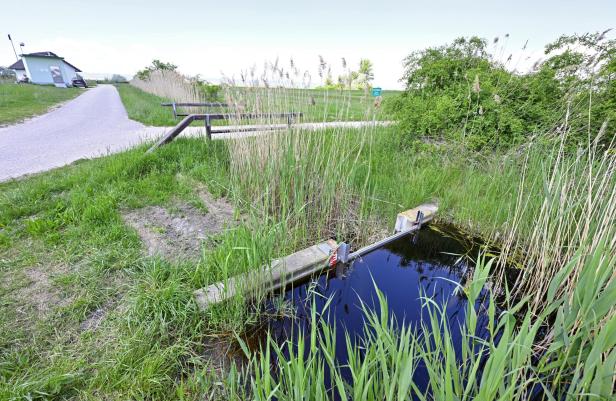 ++ THEMENBILD ++ BURGENLAND: WEHRANLAGEN VERHINDERN ABFLIESSEN VON WASSER AUS SEEWINKEL