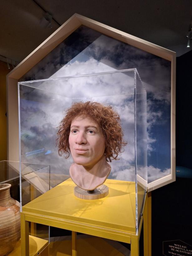 Die Büste eines Mannes namens Alewijn in einer Museumsausstellung.