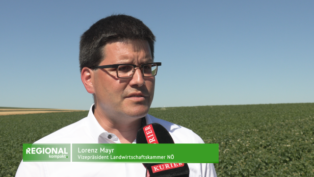 Lorenz Mayr, Vizepräsident der Landwirtschaftskammer Niederösterreich.