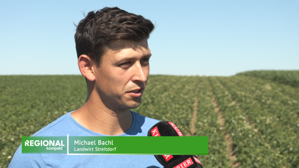 Michael Bachl, Landwirt in Streitdorf