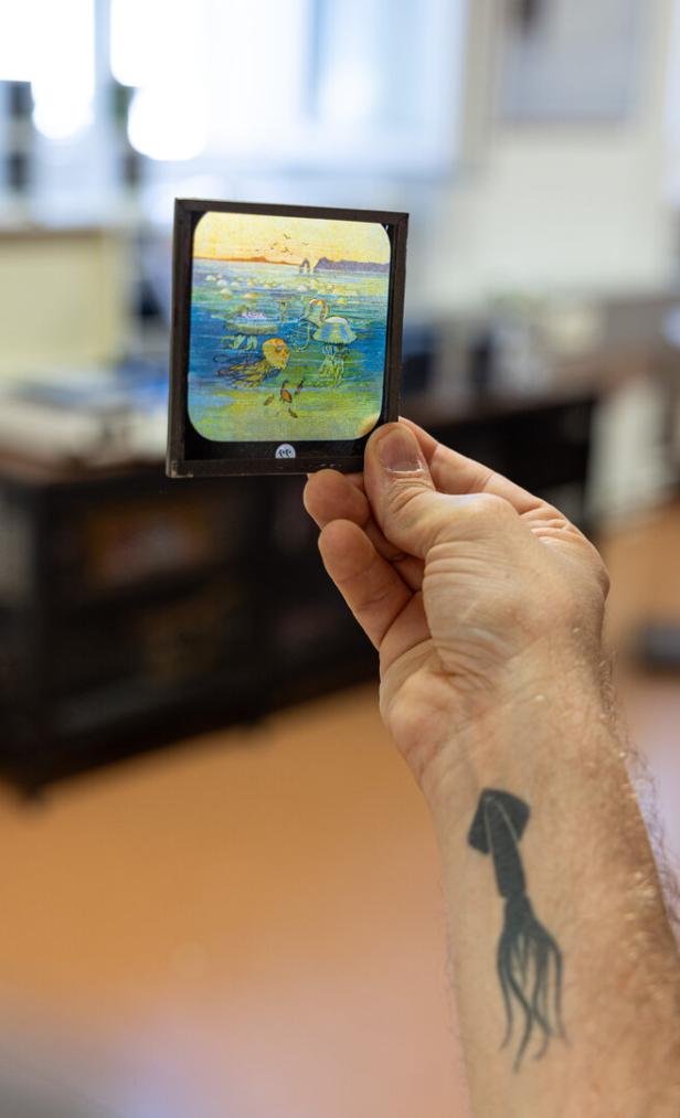 Eine Hand hält ein altes Glasdias mit einer Malerei von Quallen und einer Küstenlandschaft.
