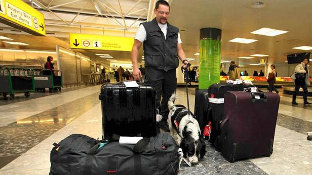 Österreichs erfolgreichster Geldschnüffler