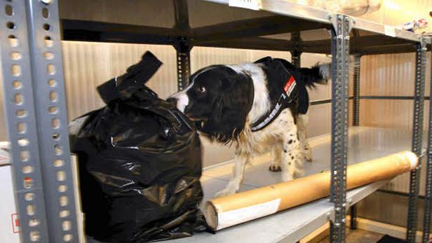 Österreichs erfolgreichster Geldschnüffler